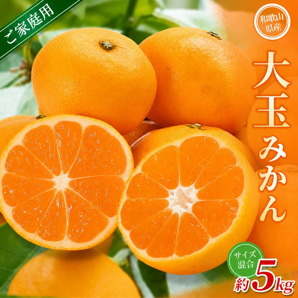 大玉みかん 約5kg【家庭用】 森本農園の手選別  和歌山県産 【BV-mrmt069】