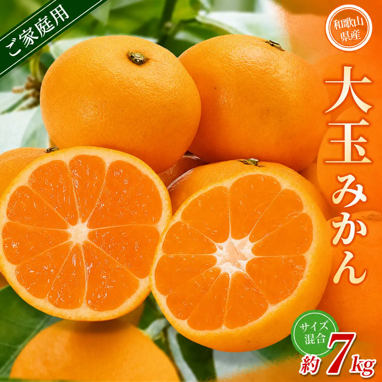 大玉みかん 約7kg 【家庭用】 森本農園の手選別 和歌山県産 【BV-mrmt070】