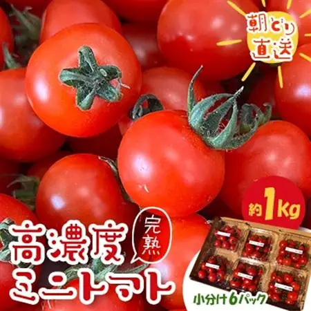 【朝どり直送】きむら農園の高濃度ミニトマト約1.0kg　うれしい小分け6パック完熟フルーツミニトマト【配送不可地域：離島・北海道・沖縄県・東北・中国・四国・九州】【1494645】