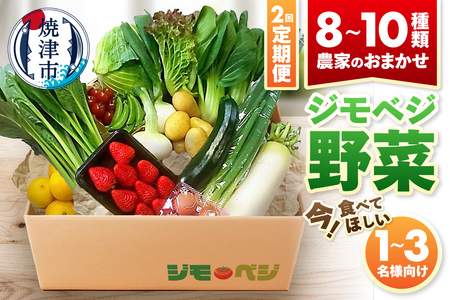 【定期便 全2回】ジモベジ 野菜 セット (a20-447)