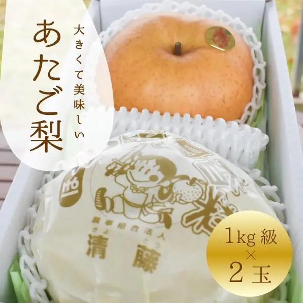 あたご梨 上級品 2玉入(1.0kg級/玉) (岡山県産) / 和梨 【KF-C004-02】