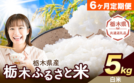 【6ヶ月定期便】栃木 ふるさと米 白米 5kg《お申込み翌月から出荷》おこめ【栃木県共通返礼品】
