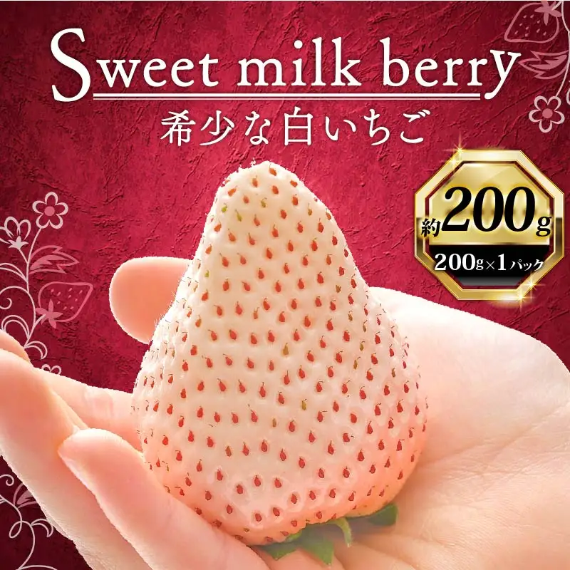 【期間限定】 白いちご 計 200g ｜ 白いちご