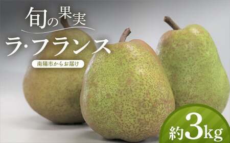 【令和8年産先行予約】 十三代目 佐藤市右衛門 ラ・フランス 約3kg (10～12玉 秀 L～3L) 《令和8年11月上旬～発送》 『旬の果実 佐藤市右衛門農園』 ラフランス 西洋梨 洋なし 果物 フルーツ デザート 山形県 南陽市 [1968]