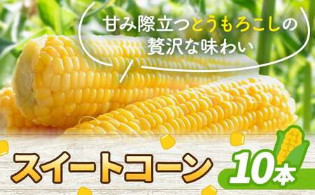 とうもろこし スイートコーン 10本 とうもろこし