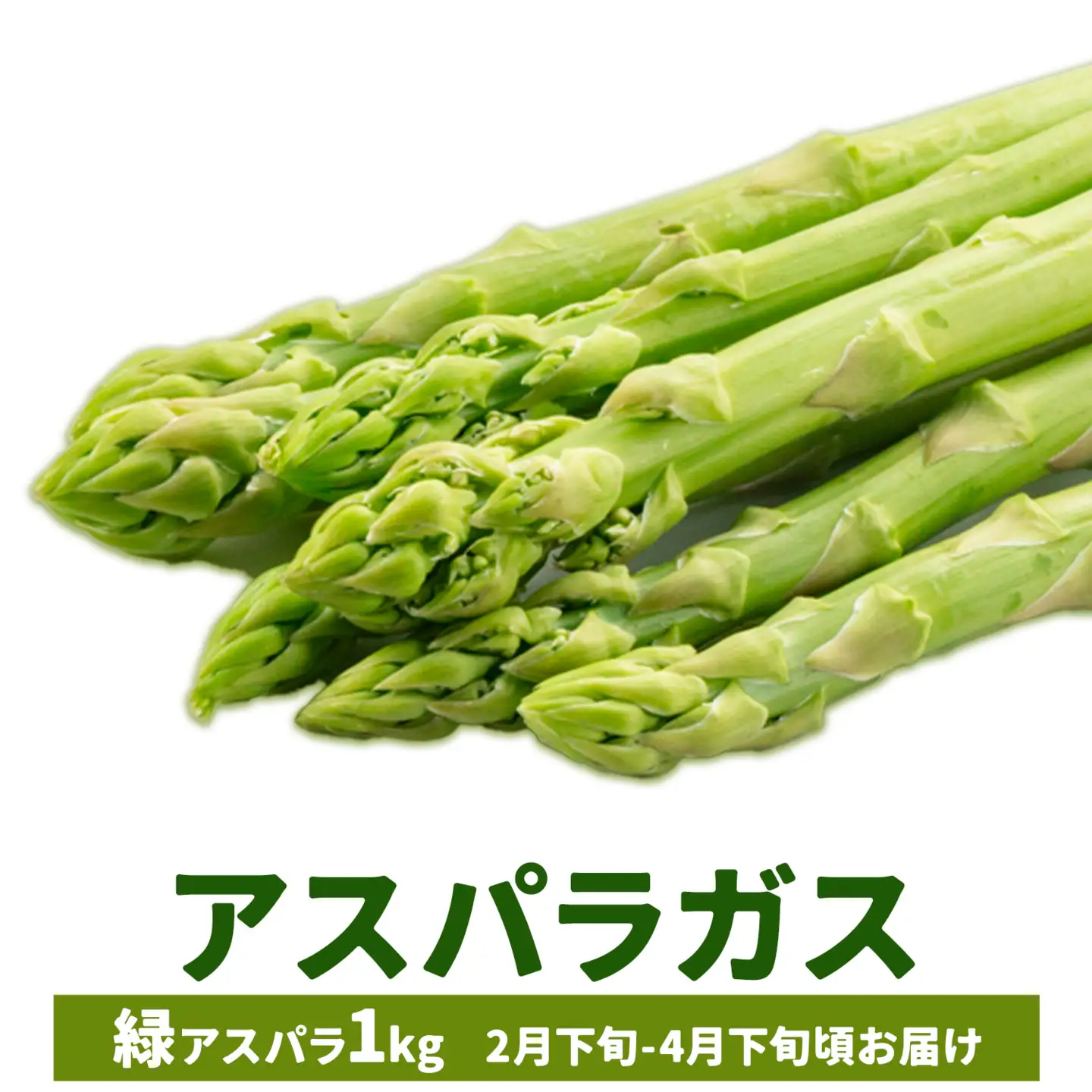 アスパラガス グリーン 春アスパラ 1束 100g 10束 髙橋商店