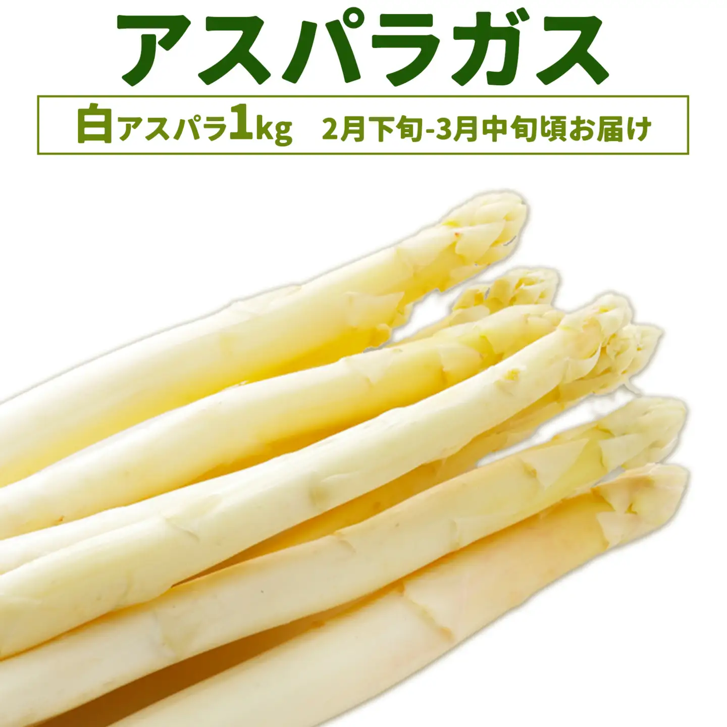 アスパラガス ホワイト 春アスパラ 1束 100g 10束 髙橋商店