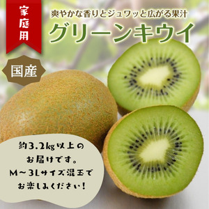 東伊豆・佐藤農園のキウイ　家庭用　約3.2kg以上（Mサイズ～3Lサイズ） 1394 ／ 佐藤農園 果物 フルーツ 農家直送 静岡県 東伊豆町