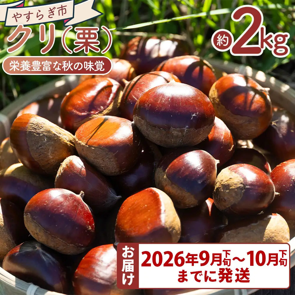 栗 2袋（２kg） 栗 yr-0103