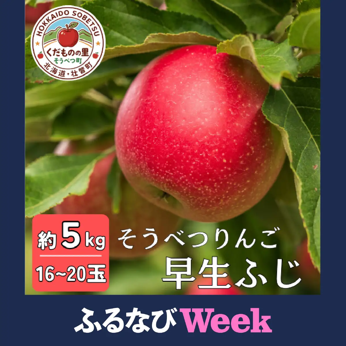 【ふるなびWEEK対象】【先行予約】 早生ふじ 約5kg 2026年10月中旬頃～発送予定 SBTB012