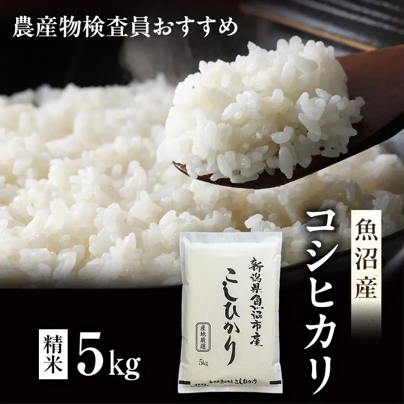 令和7年産 農産物検査員お奨め 魚沼産こしひかり（精米）5kg お米 コシヒカリ