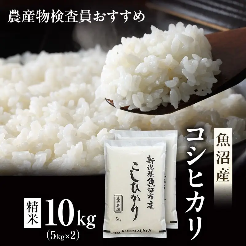 令和7年産 農産物検査員お奨め 魚沼産こしひかり（精米）10kg（5kg×2） お米 コシヒカリ