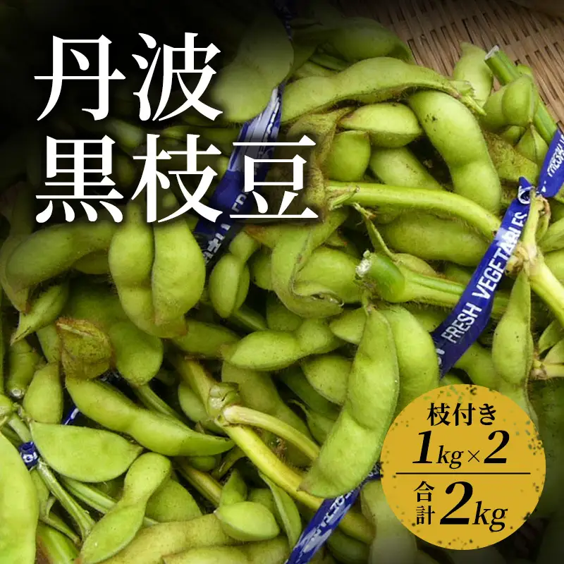 黒枝豆 丹波黒枝豆 野菜 おつまみ 黒枝豆
