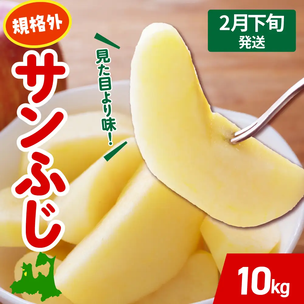 【2027年2月下旬発送】 りんご 約 10kg サンふじ 【規格外】 青森県産 りんご 16,500円