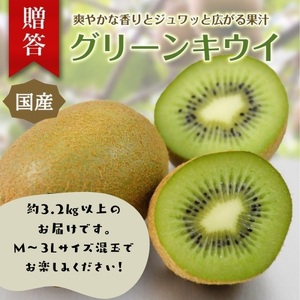 東伊豆・佐藤農園のキウイ　贈答用　約3.2kg以上（Mサイズ～3Lサイズ） 1395 ／ 佐藤農園 果物 フルーツ 農家直送 静岡県 東伊豆町