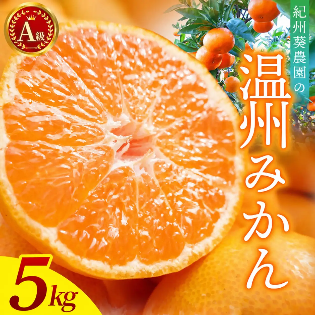 ＼先行予約／  A級 温州みかん　5kg（2S～ｌサイズ混合）【2026年11月上旬頃より順次発送】 / 温州ミカン ミカン カンキツ オレンジ 和歌山 田辺市 紀州 くだもの 柑橘 フルーツ 【aoi023-1】 