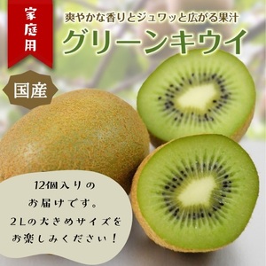東伊豆・佐藤農園のキウイ　家庭用　12個入（2Lサイズ） 1397 ／ 佐藤農園 果物 フルーツ 農家直送 静岡県 東伊豆町
