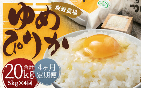 【4ヶ月定期便】らんこし米 ゆめぴりか 5kg【2024年9月下旬発送開始予定】