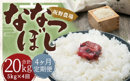 【4ヶ月定期便】らんこし米 ななつぼし 5kg【2024年9月下旬発送開始予定】