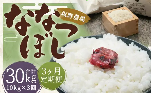 【3ヶ月定期便】らんこし米 ななつぼし 10kg(5kg×2袋)