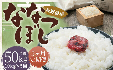【5ヶ月定期便】らんこし米 ななつぼし 10kg(5kg×2袋)【2024年9月下旬発送開始予定】