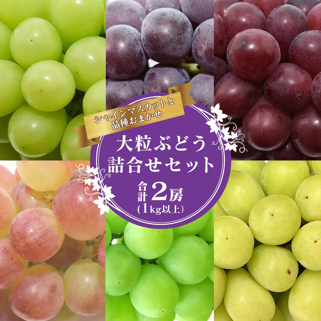 《先行予約》令和8年産 シャインマスカットと人気のぶどう 食べ比べ セット 計2房（計1kg以上）品種おまかせ 山形県産 2026年産【2026年9月中旬頃から11月頃発送予定】　015-B-JF013