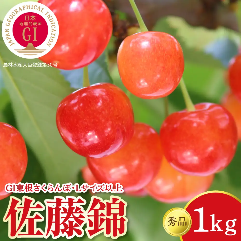 2027年産 GI東根 さくらんぼ 佐藤錦 1kg さくらんぼ