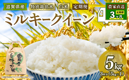 【 新米予約 】 特別栽培米 ミルキークイーン 令和8年 米 5kg 白米 定期便 3ヶ月 みるきーくいーん 2026年産 国産 農家直送 5kg × 3回 国産 農家直送 環境こだわり お米 こめ おこめ 農家直送 産地直送 送料無料