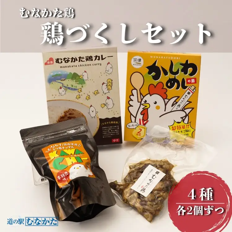 【道の駅むなかた】むなかた鶏シリーズ 鶏づくしセット（計1.3kg）_HA1837