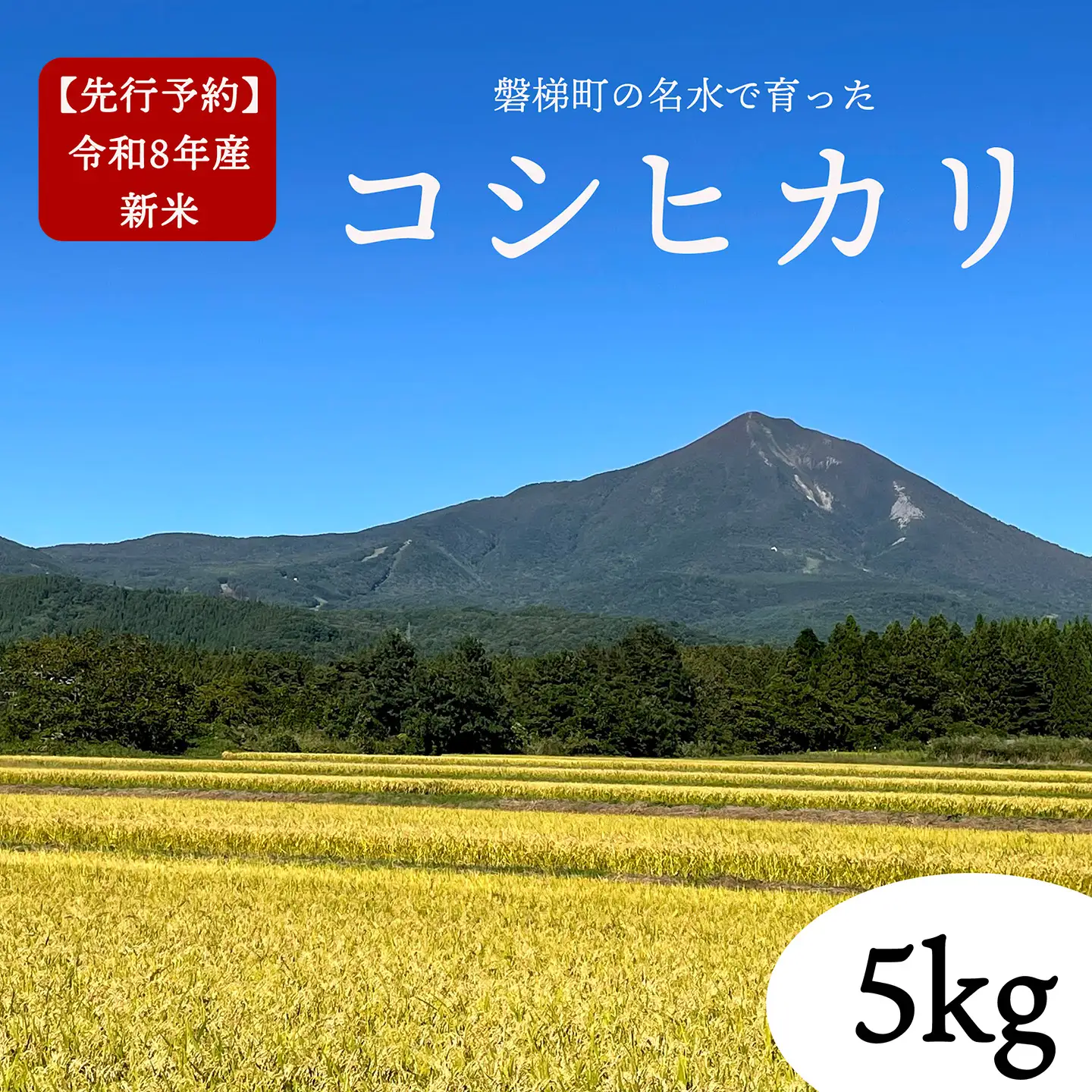 【令和8年産・新米】コシヒカリ5kg　磐梯町の名水で育ったコシヒカリ　会津産　磐梯町産　福島県産　精米