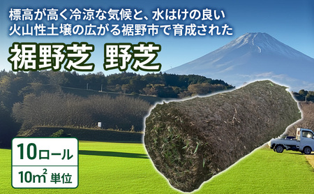 裾野芝（野芝）１0ロール（10m2）単位　芝 芝生 ガーデニング DIY 庭 天然 天然芝 裾野市 静岡県