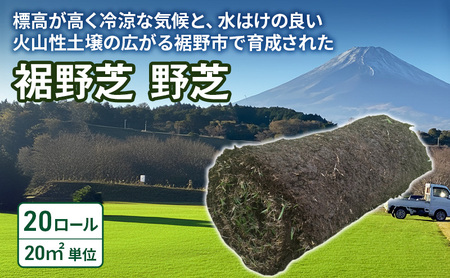裾野芝（野芝）20ロール（20m2）単位　芝 芝生 ガーデニング DIY 庭 天然 天然芝 裾野市 静岡県