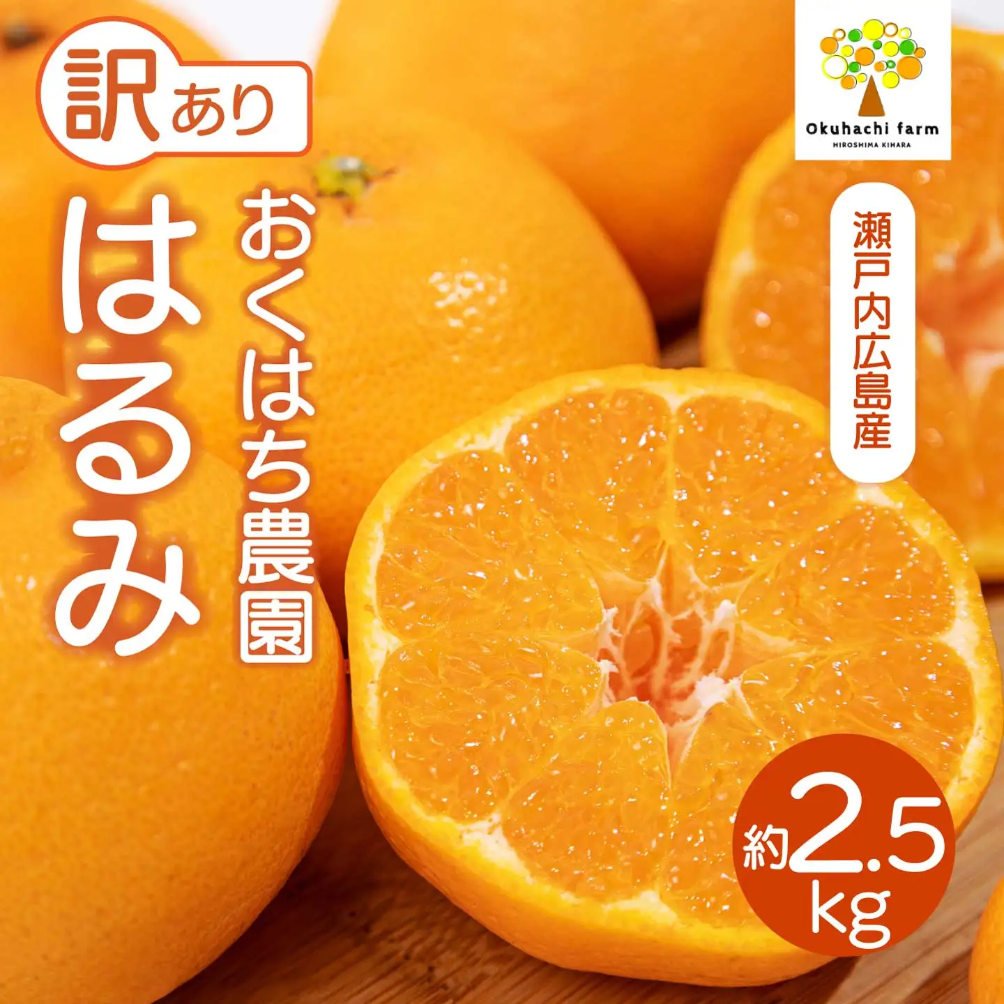 〈訳あり〉 はるみ 2.5kg 《2027年2～3月発送予定》 栽培期間中 防腐剤 ワックス 不使用 おくはち農園 旬 柑橘 かんきつ フルーツ 果物 瀬戸内 166007