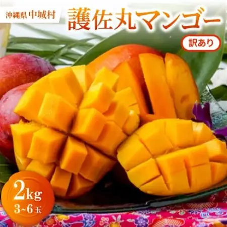 【2027年6月から順次発送・訳あり】護佐丸マンゴー2.0kg(3～6玉)【配送不可地域：離島】【1681755】