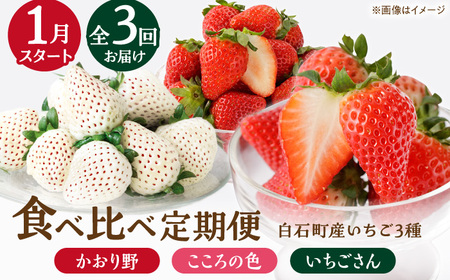 先行予約 2027年1月〜発送【3回定期便】3種の食べ比べ定期便(1) 【StrawberryFarm-K】[IBJ030]
