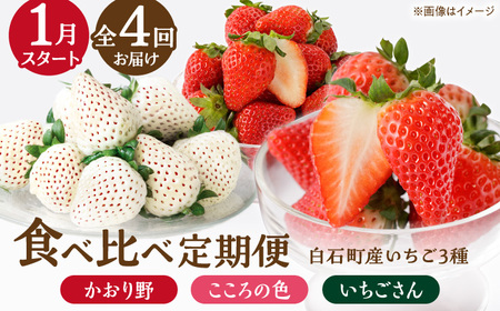 先行予約 2027年1月〜発送 【4回定期便】3種の食べ比べ定期便(3)  【StrawberryFarm-K】[IBJ032]