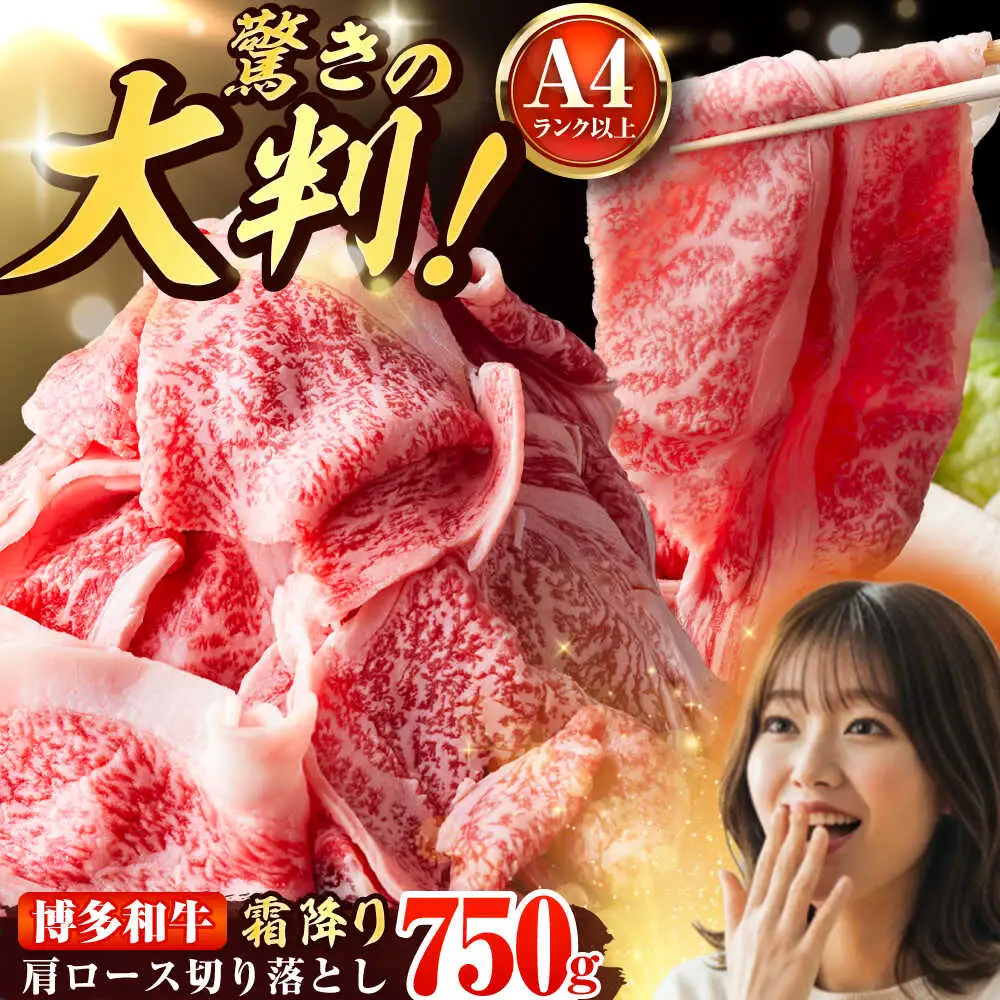 【A4-A5】博多和牛 大判霜降り 贅沢切り落とし 750g (250g×3P) [BGAB110]