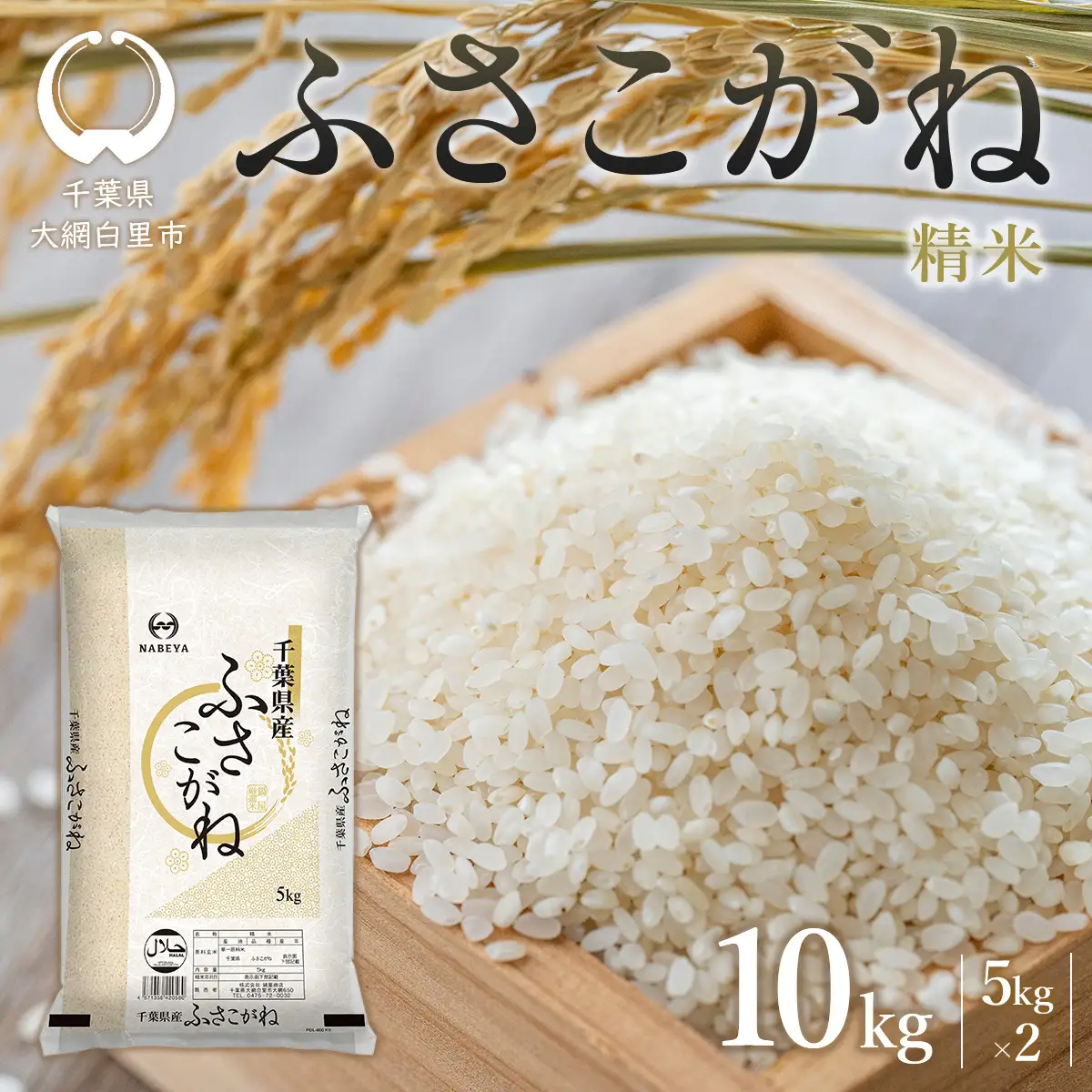 【最短2～7営業日出荷】【令和7年産】千葉県産　ふさこがね10kg (精米5kg×2袋) E028