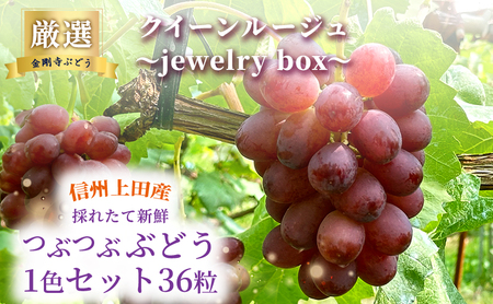 厳選！クイーンルージュ(R) jewelry box 信州上田産 金剛寺ぶどう 36粒 つぶつぶぶどう 1色 セット 詰め合わせ ぶどう マスカット フルーツ 旬の果物 長野