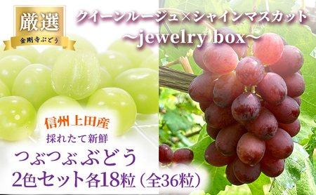 厳選！クイーンルージュ(R)×シャインマスカット jewelry box 信州上田産 金剛寺ぶどう 36粒 つぶつぶぶどう 2色 セット 詰め合わせ ぶどう マスカット フルーツ 旬の果物 長野