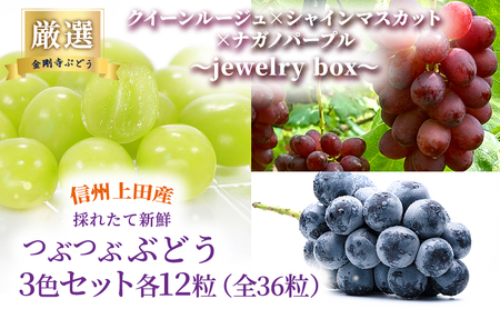 厳選！クイーンルージュ(R)×シャインマスカット×ナガノパープル jewelry box 信州上田産 金剛寺ぶどう 36粒 つぶつぶぶどう 3色 セット 詰め合わせ ぶどう マスカット フルーツ 旬の果物 長野