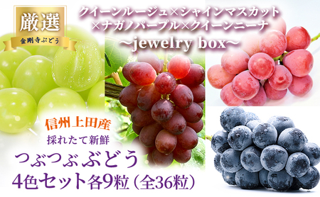 厳選！クイーンルージュ(R)×シャインマスカット×ナガノパープル×クイーンニーナ jewelry box 信州上田産 金剛寺ぶどう 36粒 つぶつぶぶどう 4色 セット 詰め合わせ ぶどう マスカット フルーツ 旬の果物 長野