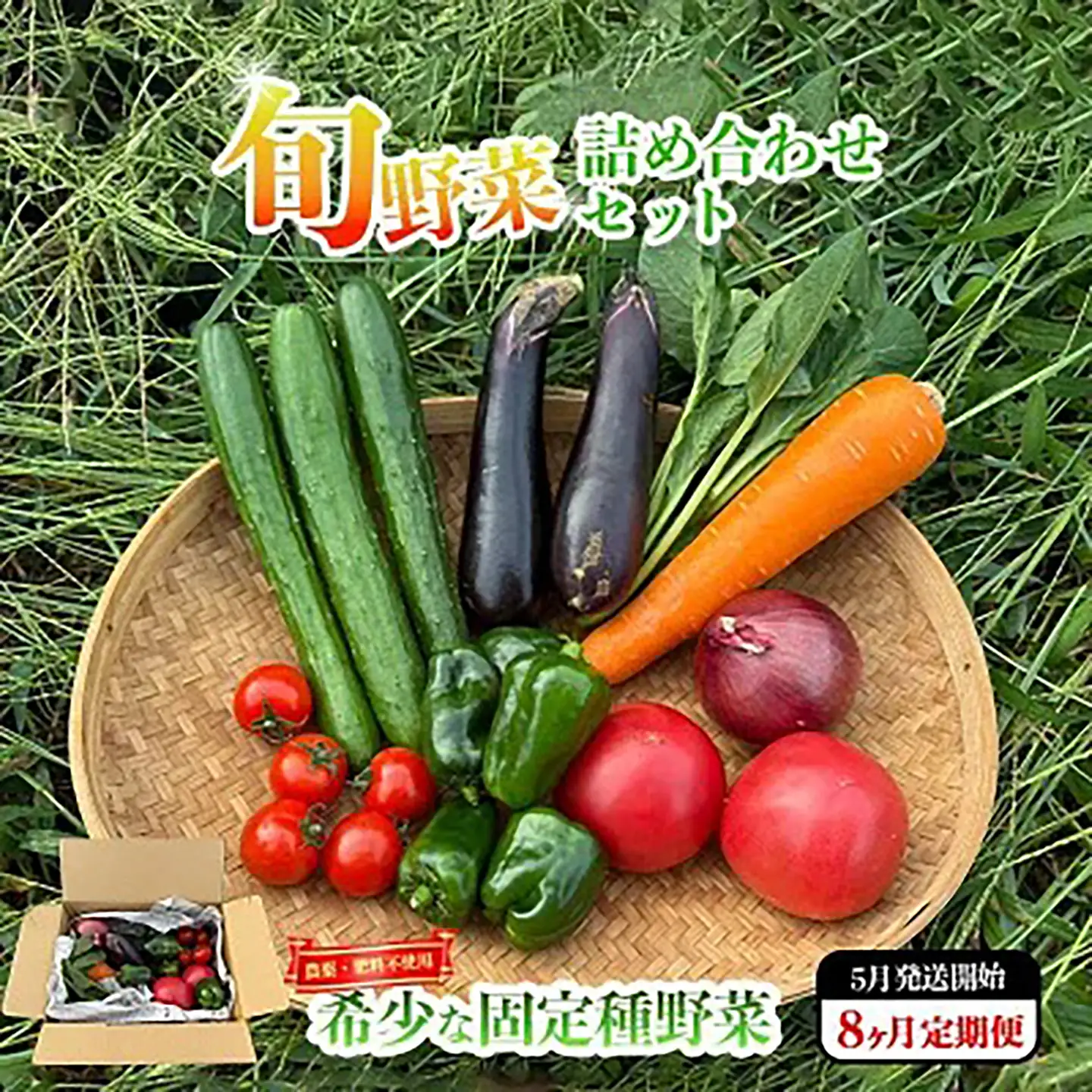 ☆先行予約 5月発送開始☆【8回定期便】固定種野菜の自然栽培 旬のお野菜セットを毎月お届け | 野菜 定期便