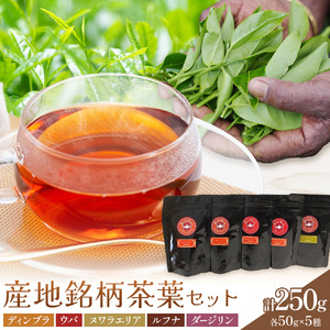 産地銘柄茶葉セット ディンブラ ウバ ヌワラエリア ルフナ ダージリン 各50g