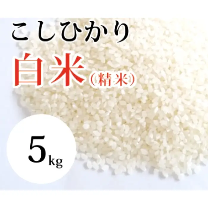 大山の一粒　白米 5kg【米 5kg 5キロ こめ コメ 先行予約 お米 白米 精米 こしひかり コシヒカリ ごはん ライス kome 国産 お取り寄せ 鳥取県 大山町】