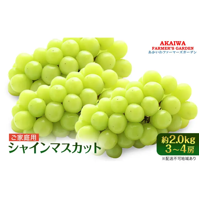 ぶどう 先行予約 家庭用 シャインマスカット 約2.0kg 3～4房 葡萄 果物 ぶどう
