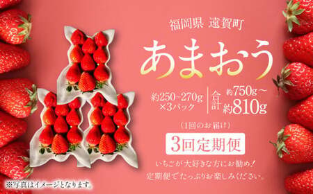 【3回定期便】あまおう 3パック 計約750～810g  ×3回 あまおう いちご イチゴ 苺 果物 くだもの フルーツ 定期便【2027年2月上旬～4月下旬発送予定】