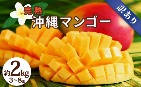 沖縄県産 訳ありマンゴー 2kg【 先行予約 2027年発送 】