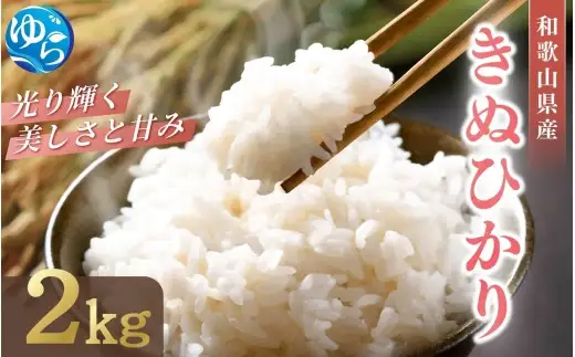 和歌山県産 キヌヒカリ 2kg（2026年産） / お米 きぬひかり 白米 由良町 令和8年 人気 おすすめ ※2026年9月上旬より順次発送予定【sml400-kinu-2A】