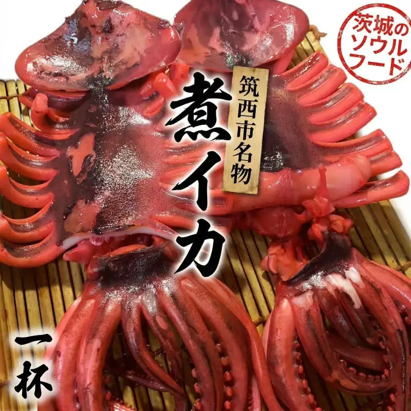 筑西市名物 煮イカ（一杯） いか 筑西 茨城 ソウルフード ご当地グルメ 名物 海鮮 魚介 冷凍